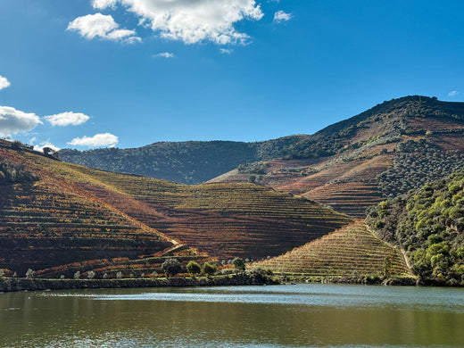Douro Tal in Portugal mit Weinbergen und Douro Fluss