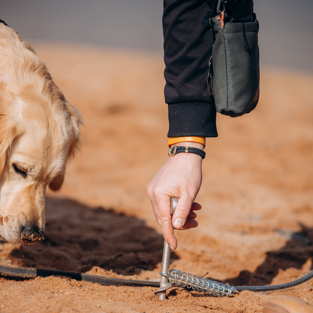 PetPeg • Single item (HP62) • Ground anchor with shock absorber for your beloved Pet!